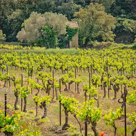 Casa vacanze Liodrey *